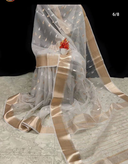 Banarsi Weave Organza Saree by RNR