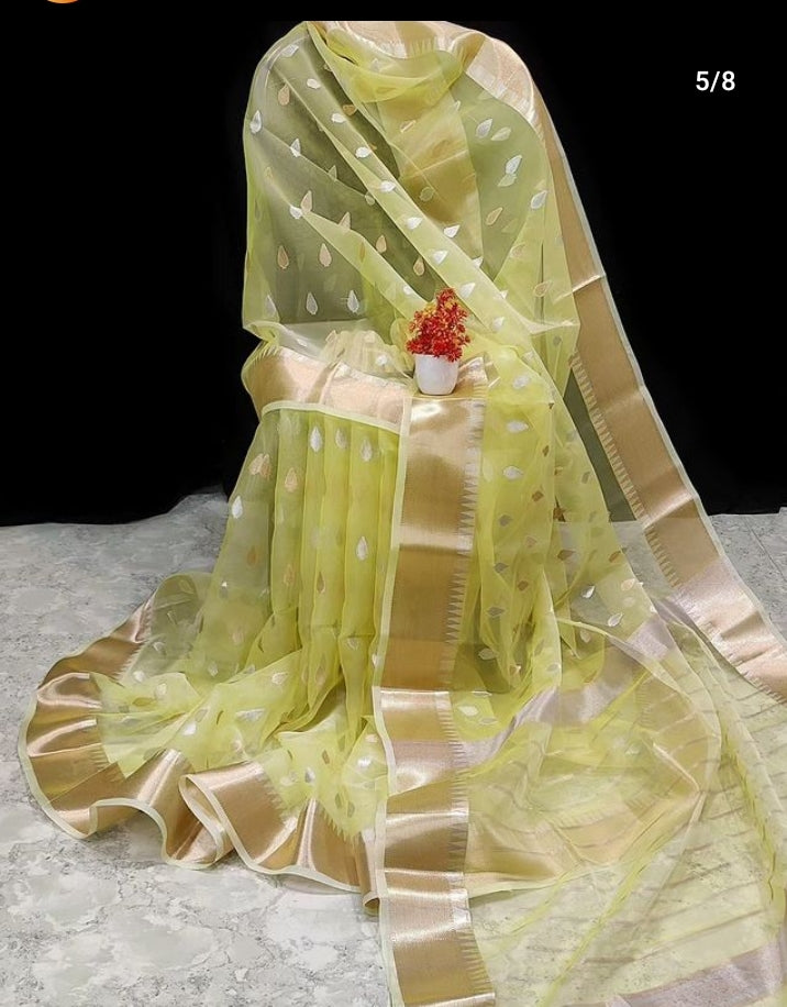 Banarsi Weave Organza Saree by RNR