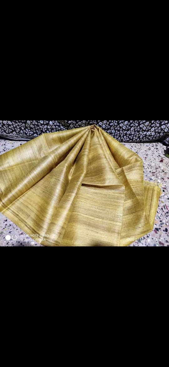 Zari Border Tussar Silk Saree